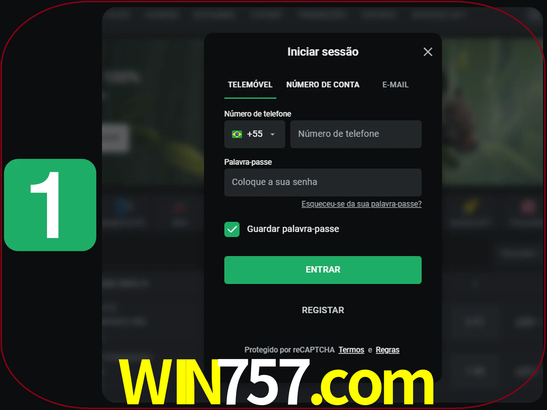 Clique no botão Entrar.